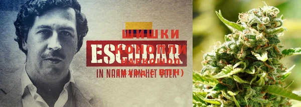трава Алексеевка