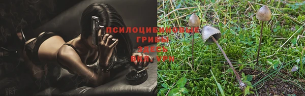 jwh Алексин